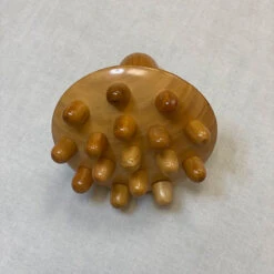 Champiñón Corporal