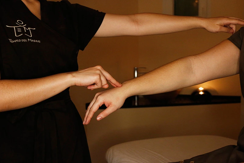 Terapia Holística 1 Terapia Holística